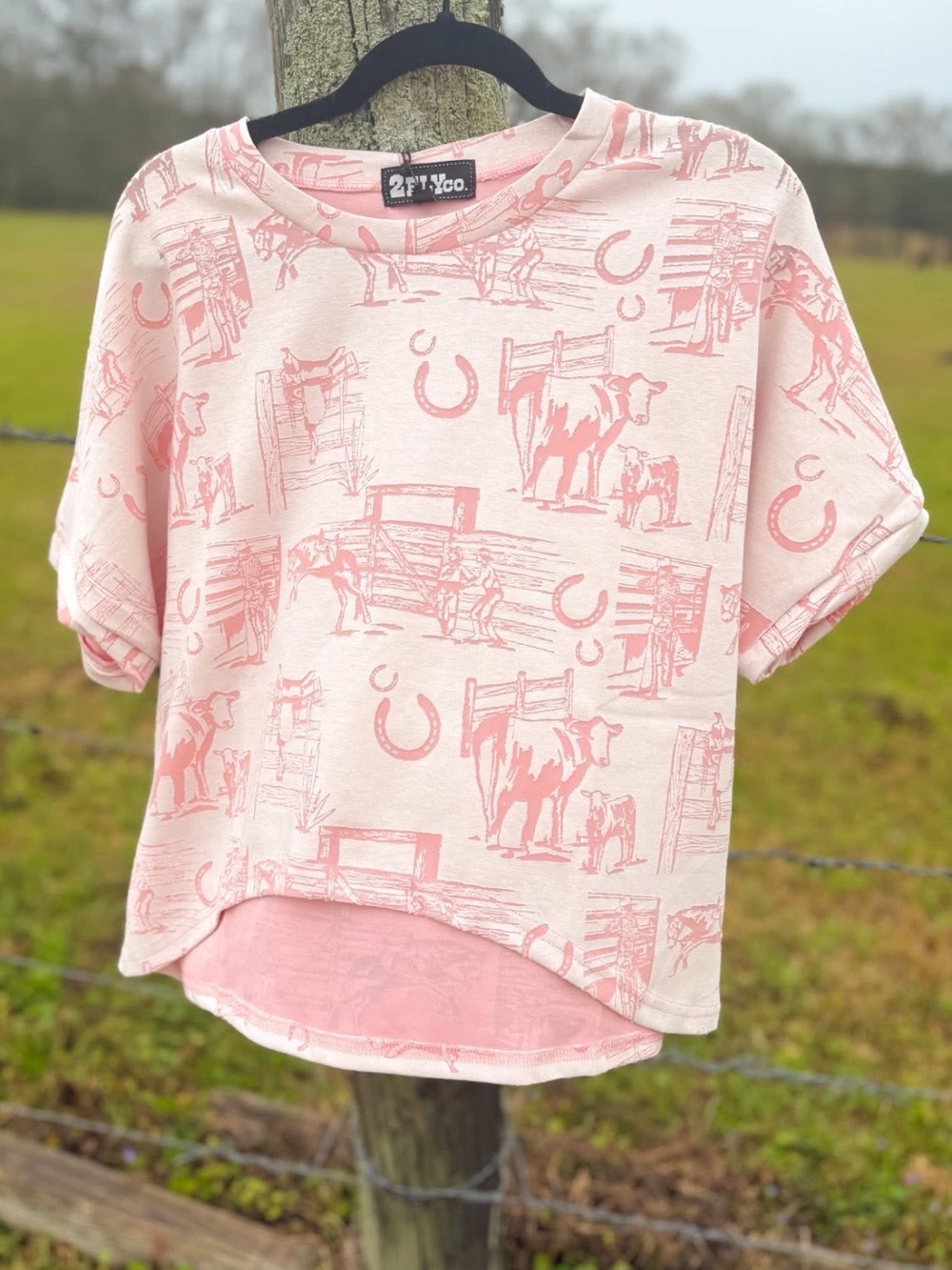 2Fly Co. pink graphic t-shirt featuring a western ranch scene print.